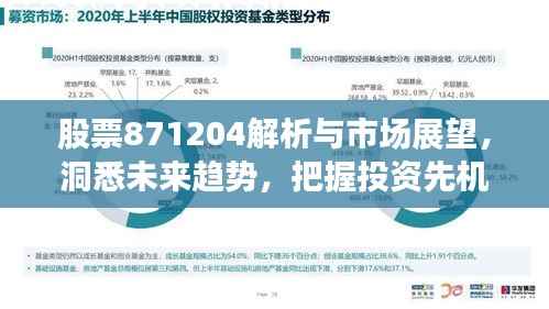 股票871204解析与市场展望,洞悉未来趋势,把握投资先机