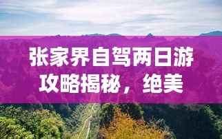 张家界自驾两日游攻略揭秘，绝美风光与独特体验一网打尽！