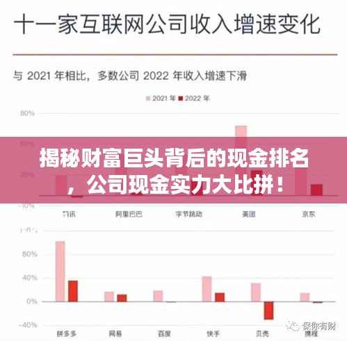 揭秘财富巨头背后的现金排名,公司现金实力大比拼!