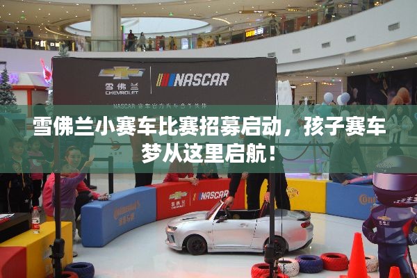 鸟栖虫居 第2页