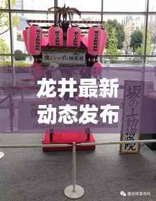 龙井最新动态发布,今日信息一网打尽