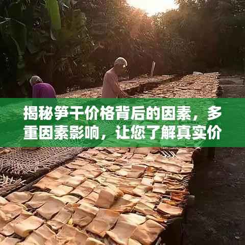 揭秘笋干价格背后的因素,多重因素影响,让您了解真实价格背后的秘密!