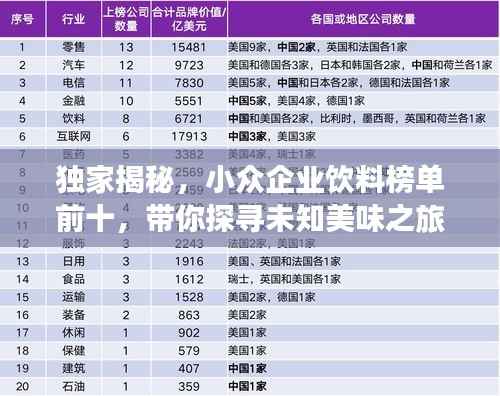 独家揭秘，小众企业饮料榜单前十，带你探寻未知美味之旅