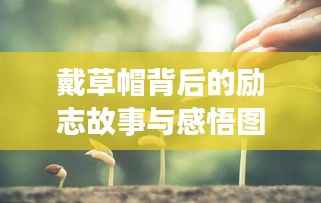 戴草帽背后的励志故事与感悟图片分享