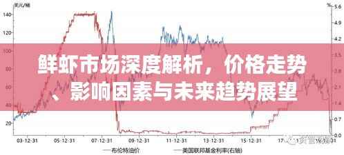 鲜虾市场深度解析,价格走势、影响因素与未来趋势展望