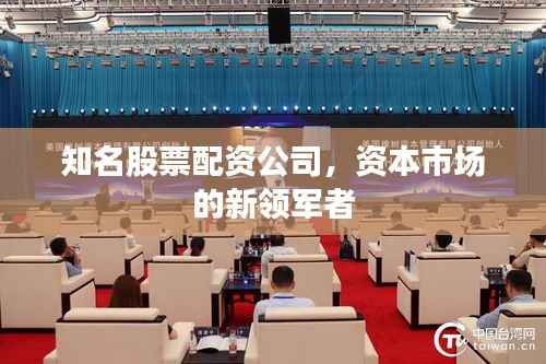 知名股票配资公司,资本市场的新领军者