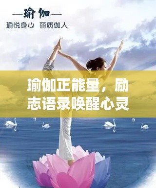 虫书鸟篆 第3页