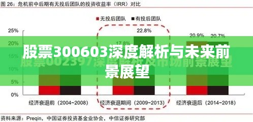 股票300603深度解析与未来前景展望