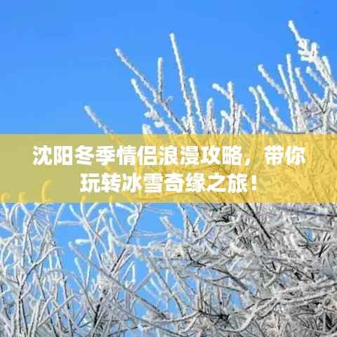 沈阳冬季情侣浪漫攻略,带你玩转冰雪奇缘之旅!