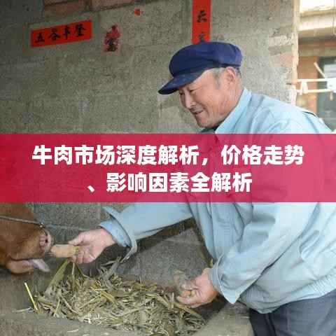 牛肉市场深度解析,价格走势、影响因素全解析