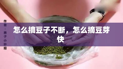 怎么摘豆子不断,怎么摘豆芽快