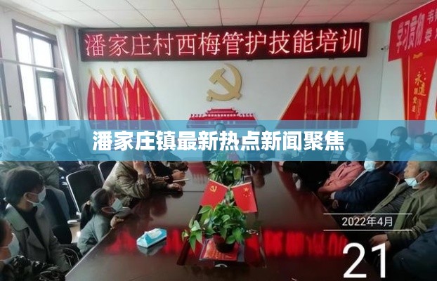 生张熟魏 第3页