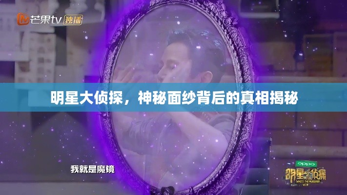 明星大侦探,神秘面纱背后的真相揭秘