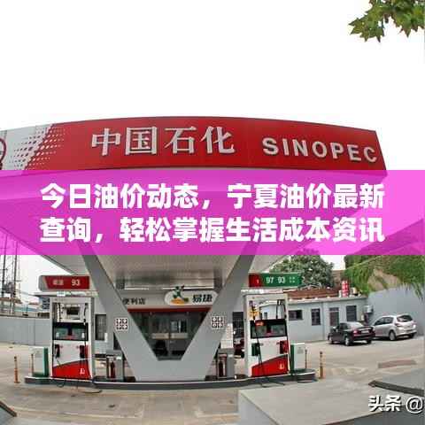 今日油价动态,宁夏油价最新查询,轻松掌握生活成本资讯!