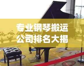 专业钢琴搬运公司排名大揭秘!