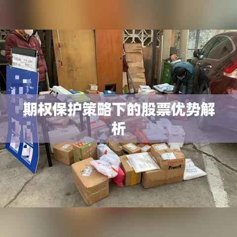 期权保护策略下的股票优势解析