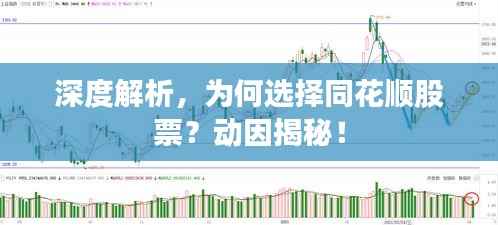 深度解析，为何选择同花顺股票？动因揭秘！