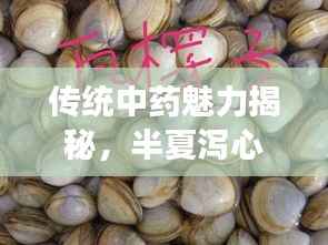 传统中药魅力揭秘,半夏泻心汤深度解析