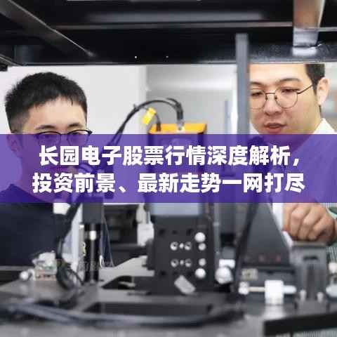 长园电子股票行情深度解析，投资前景、最新走势一网打尽！