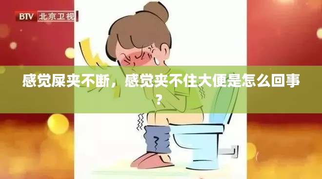 感觉屎夹不断,感觉夹不住大便是怎么回事?