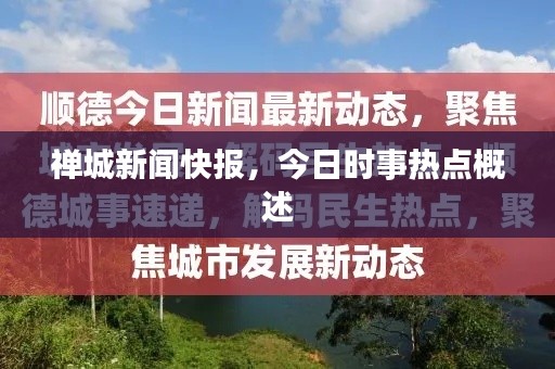 禅城新闻快报,今日时事热点概述