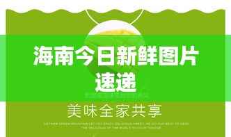 海南今日新鲜图片速递