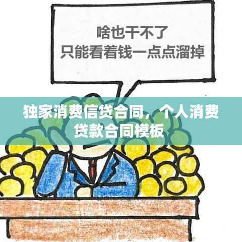 独家消费信贷合同,个人消费贷款合同模板