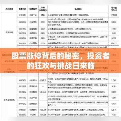 股票涨停背后的秘密，投资者的狂欢与挑战日来临