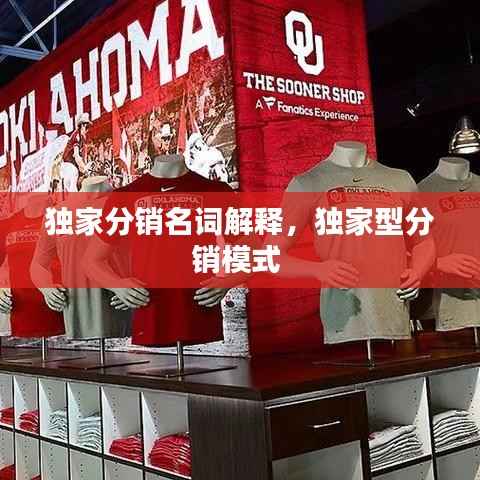 独家分销名词解释,独家型分销模式