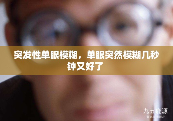 突发性单眼模糊,单眼突然模糊几秒钟又好了