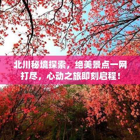 北川秘境探索,绝美景点一网打尽,心动之旅即刻启程!