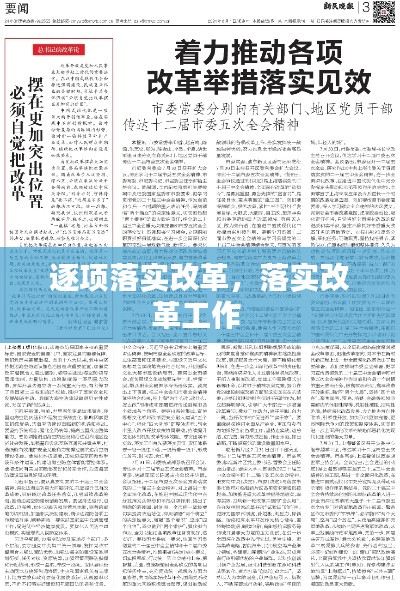 逐项落实改革,落实改革工作