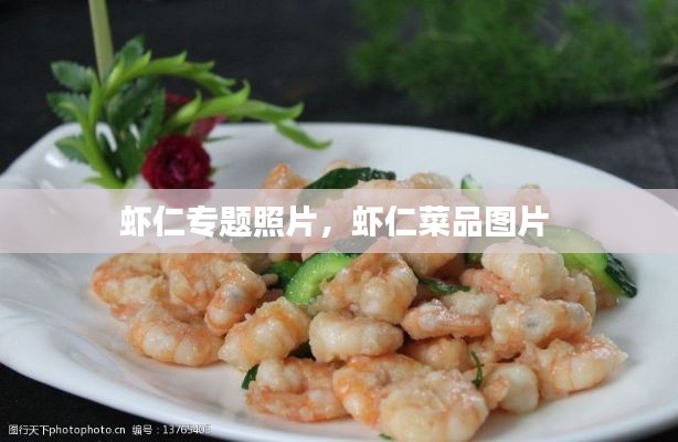 虾仁专题照片,虾仁菜品图片