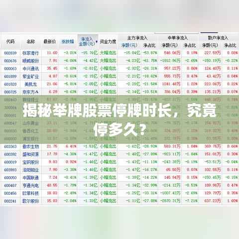 揭秘举牌股票停牌时长,究竟停多久?
