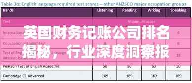 英国财务记账公司排名揭秘,行业深度洞察报告
