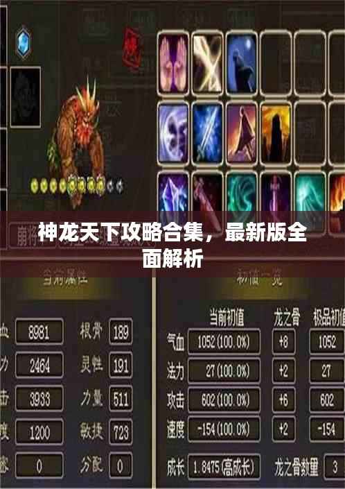神龙天下攻略合集，最新版全面解析