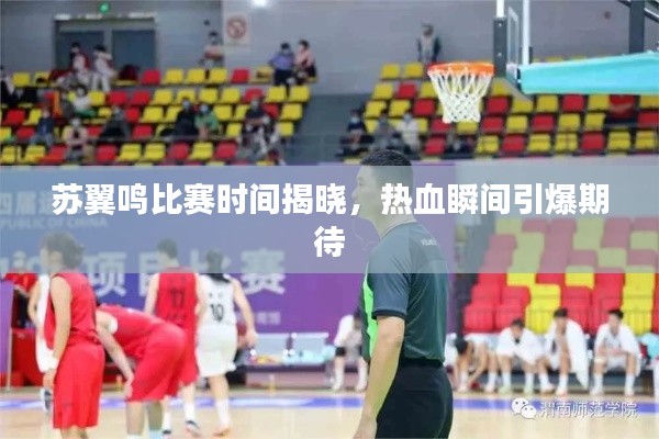 苏翼鸣比赛时间揭晓，热血瞬间引爆期待