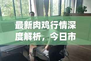 最新肉鸡行情深度解析,今日市场动态一网打尽