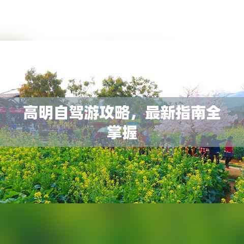 高明自驾游攻略,最新指南全掌握