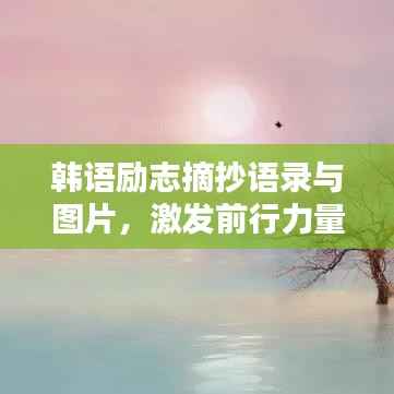 韩语励志摘抄语录与图片，激发前行力量的心灵驿站