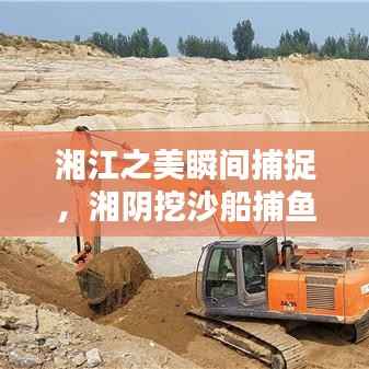 按部就班 第2页