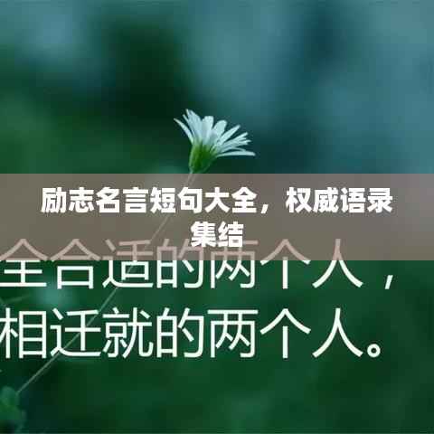 东成西就 第2页